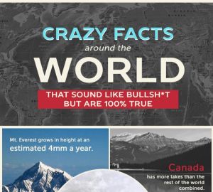 I fatti pazzi del mondo